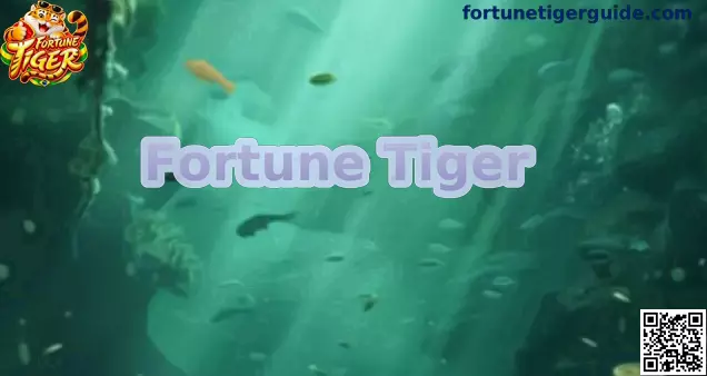 Fortune Tiger e guia do Jogo do Tigrinho